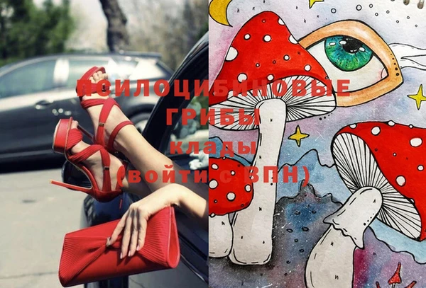 скорость Бородино